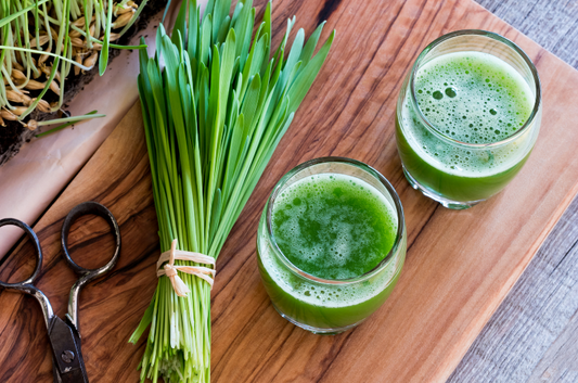 Health Benefits of Wheatgrass
